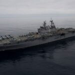 Amphib