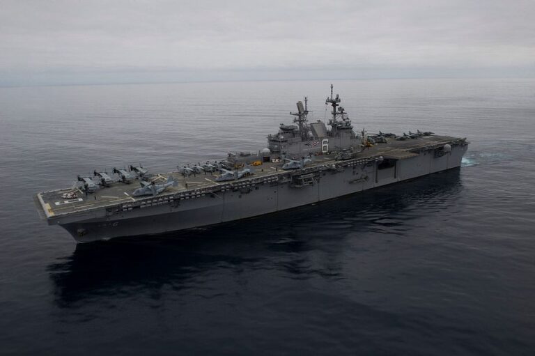 Amphib